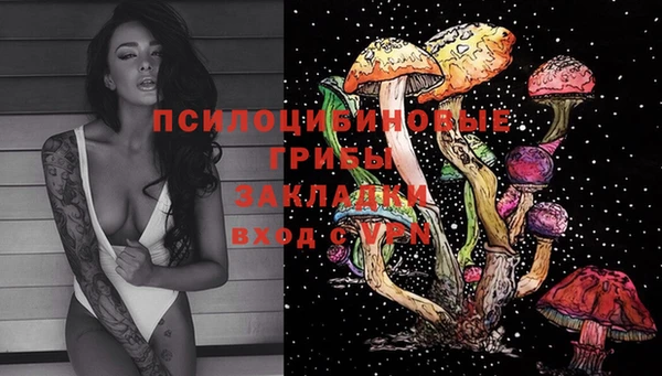 круглые Богданович