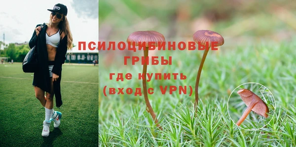 ALPHA PVP Алапаевск