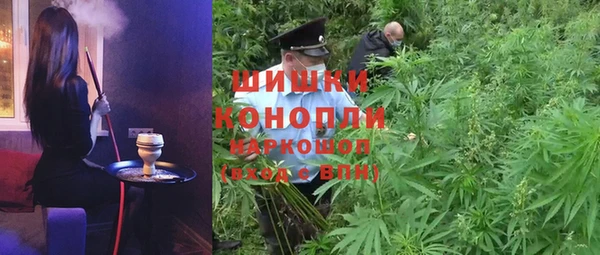 СК Богородицк