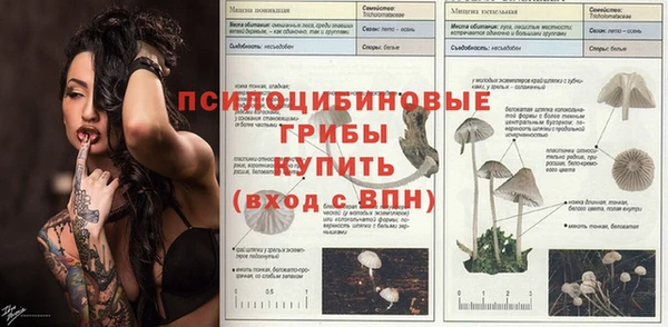 a pvp Навашино