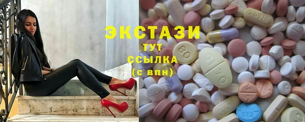СК Богородицк