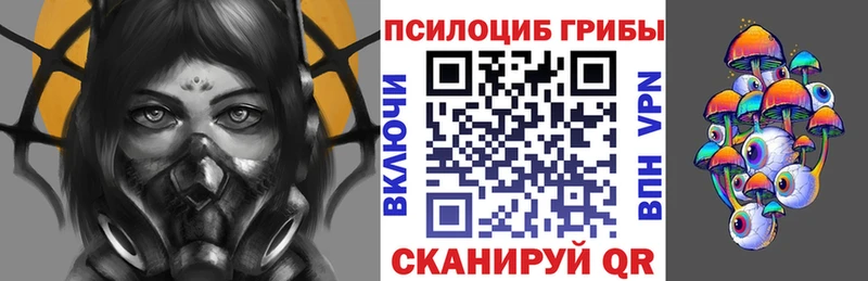 Галлюциногенные грибы Psilocybe  дарнет шоп  Бор 