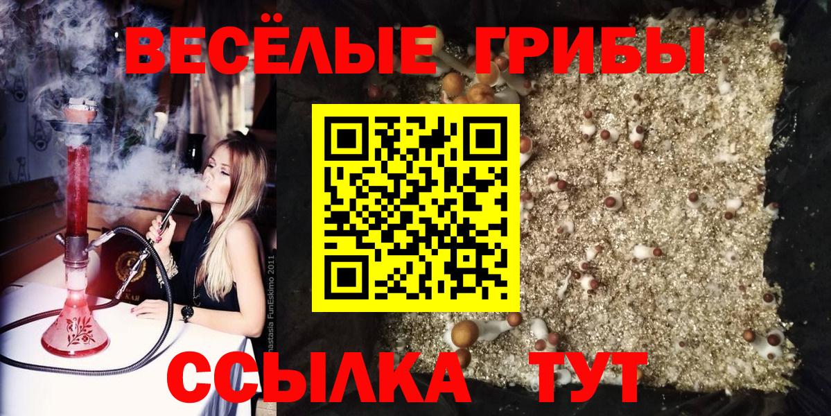 Бор  Галлюциногенные грибы мухоморы  Вход с VPN  Псилоцибиновые грибы мицелий 