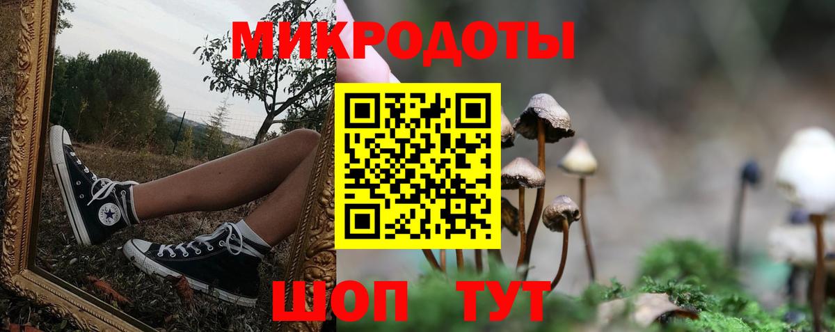 Галлюциногенные грибы прущие грибы  Бор  Галлюциногенные грибы Magic Shrooms 