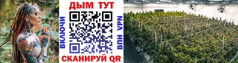 hydra онион  Бор  Канабис VHQ 